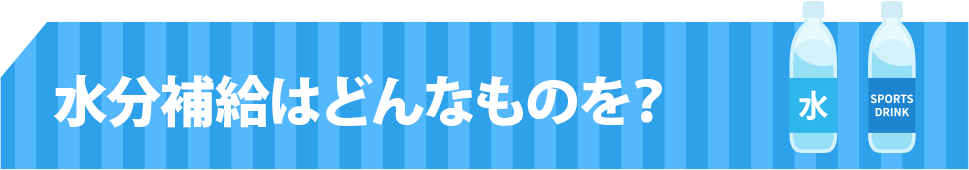 水分補給はどんなものを？