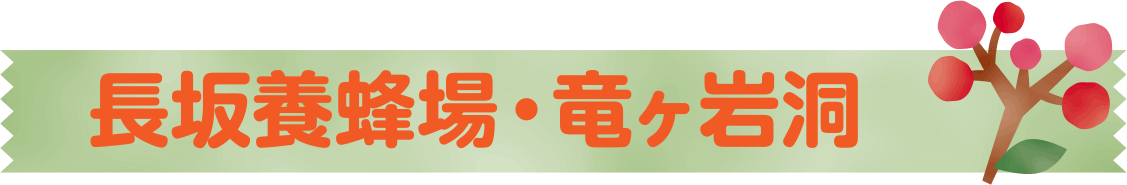 長坂養蜂場・竜ヶ岩洞