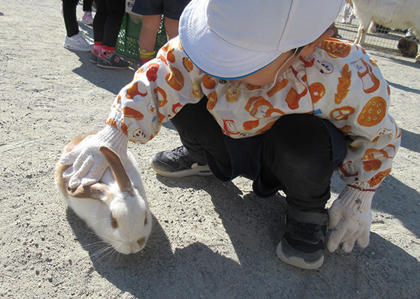 移動動物園