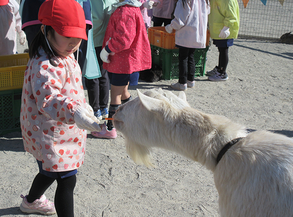 移動動物園