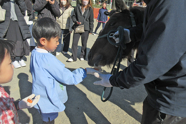 移動動物園